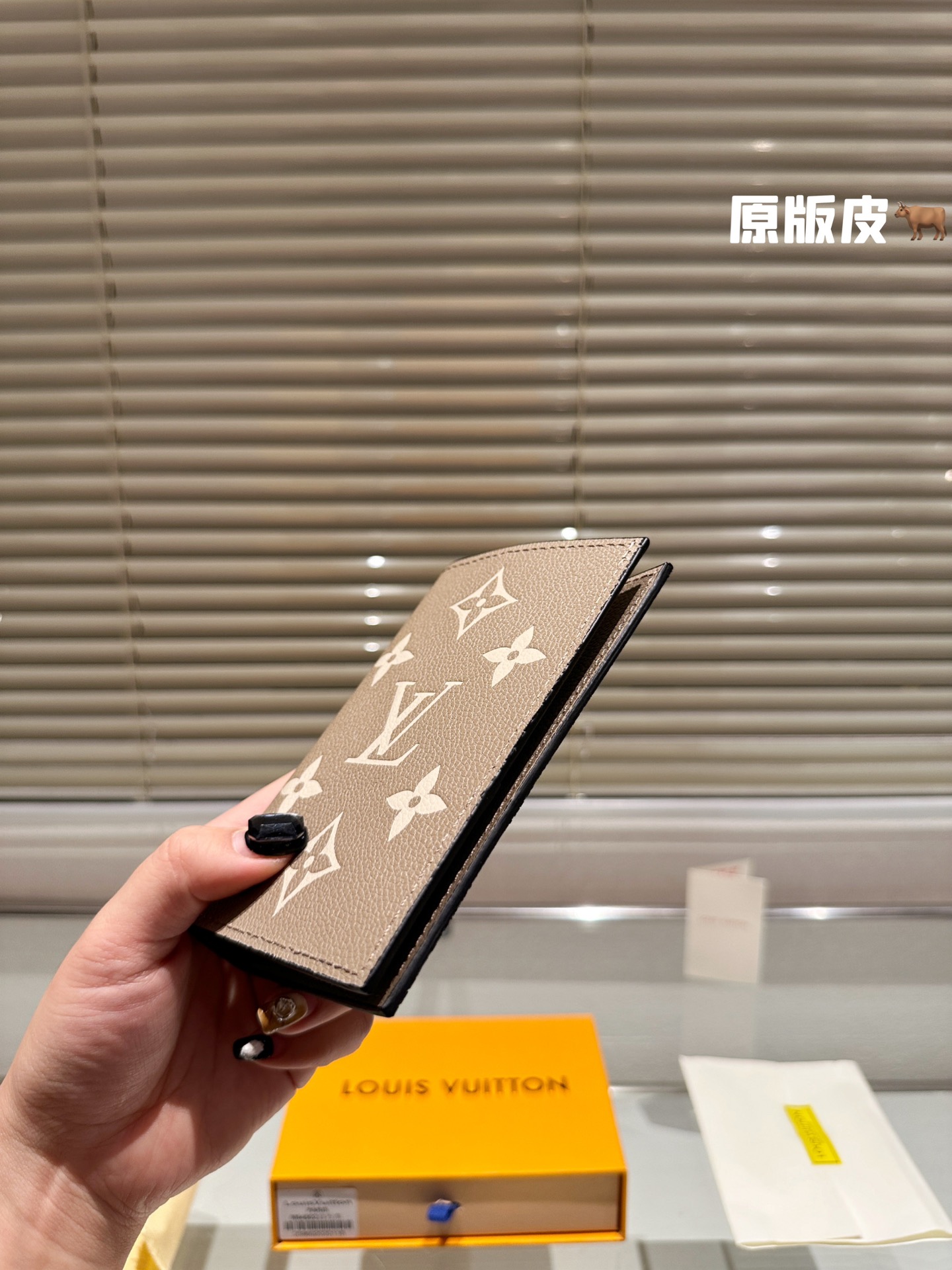 LV Passport holder 008 DB511 10cm