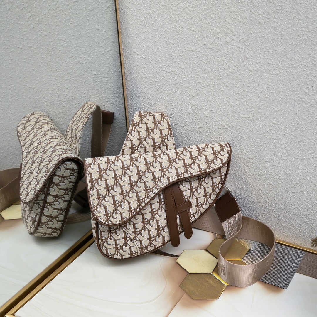 Dior Homme Pre-Fall Saddle Ophidia Shoulder Bag Handbag