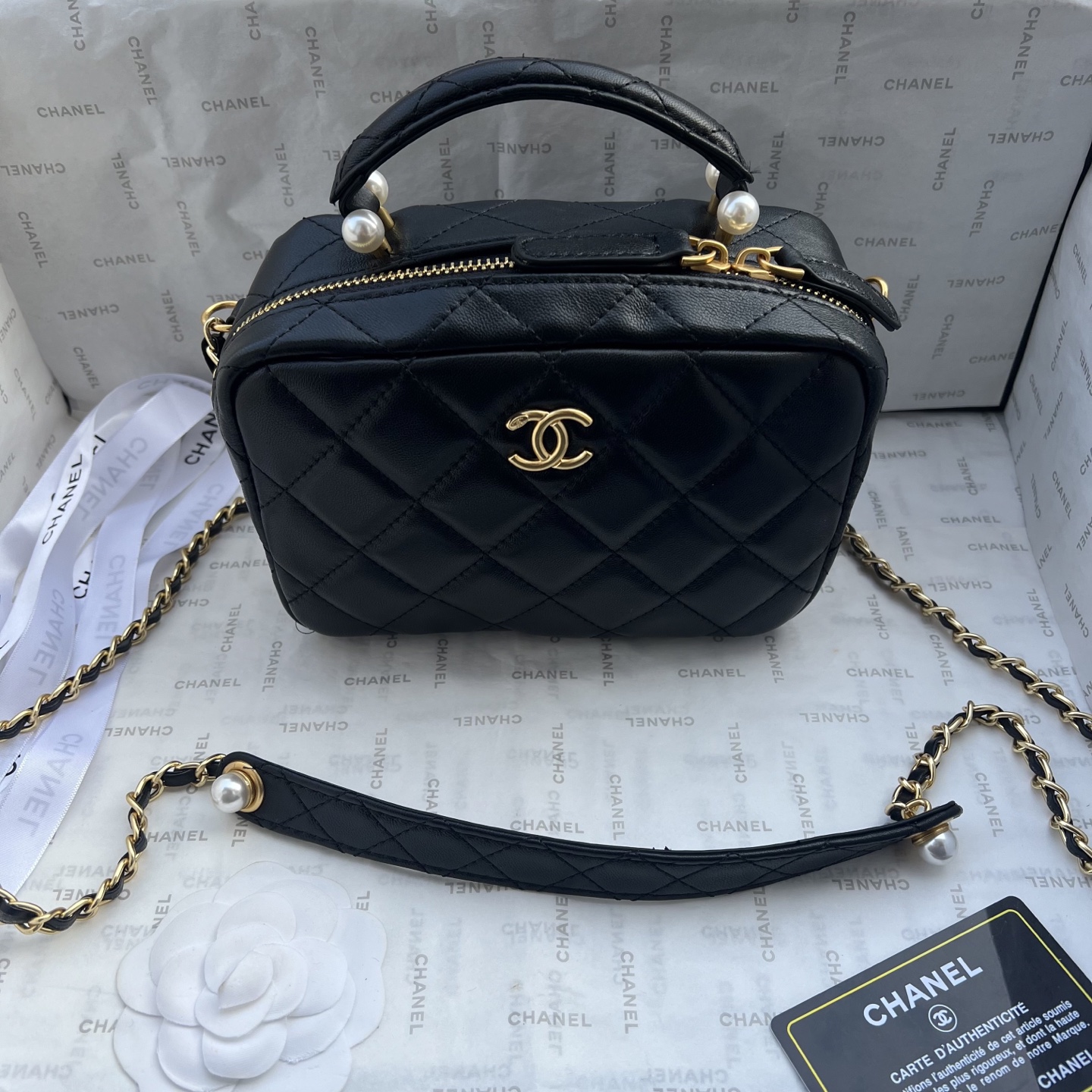 Chanel Camera bag 1225