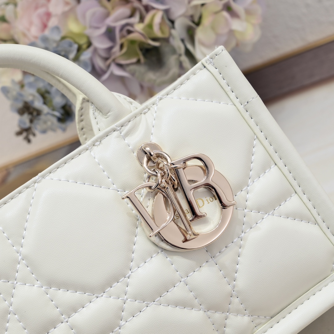 Dior Mini Book Tote Maria Grazia Chiuri design Shoulder Bag Handbag