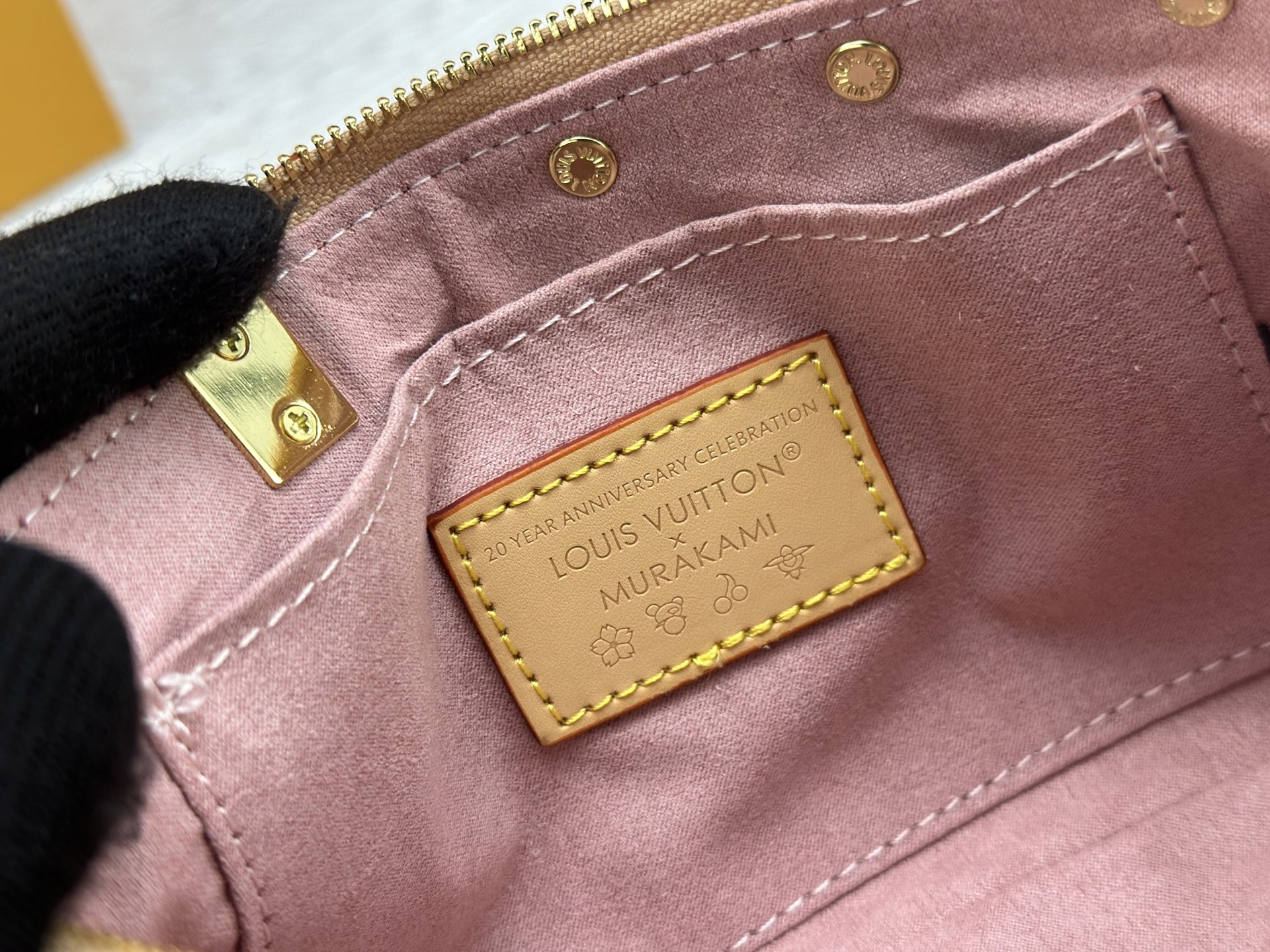 Louis Vuitton Pochette Accessoires Handbag M13666