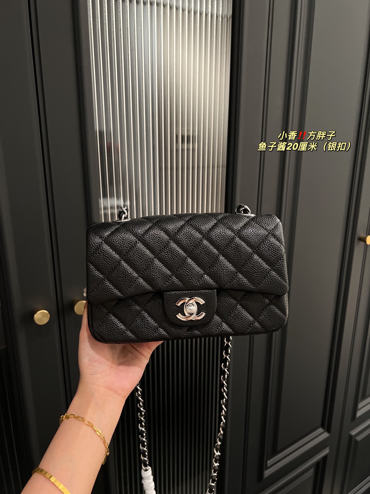 Chanel Shoulder Bag 017 DB071 20cm