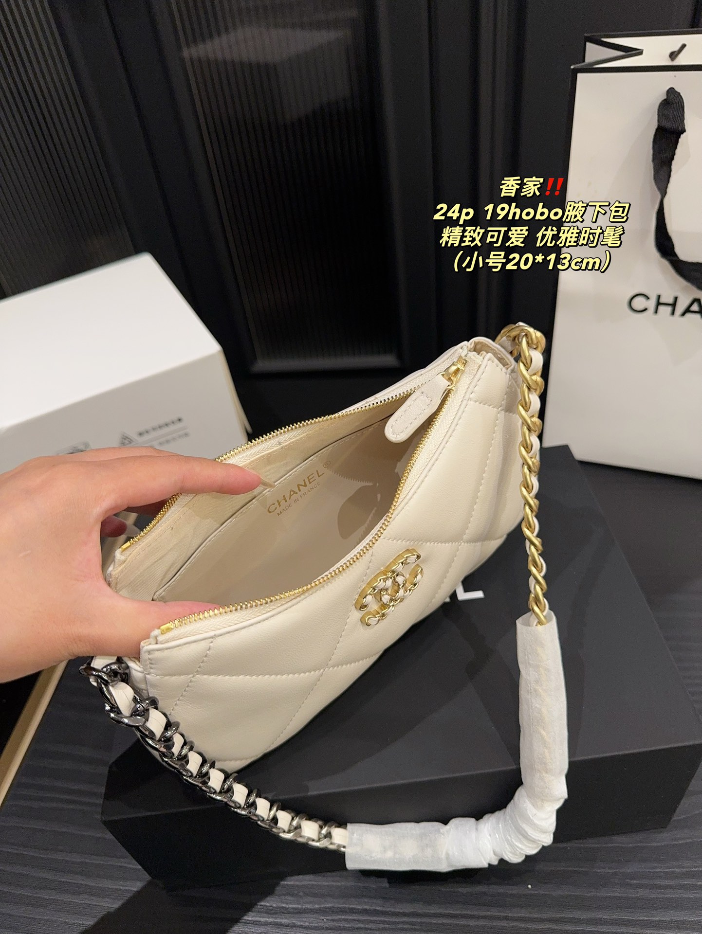 Chanel 24p 19hobo Bag 018 DB571 20-24cm