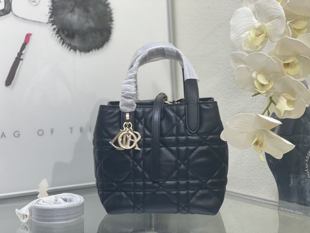 Dior Toujours Bag 0326 LM002012 18-24cm