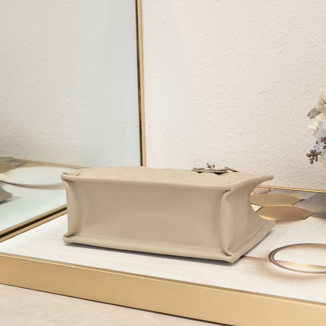 Dior Mini Book Tote Maria Grazia Chiuri design Shoulder Bag Handbag