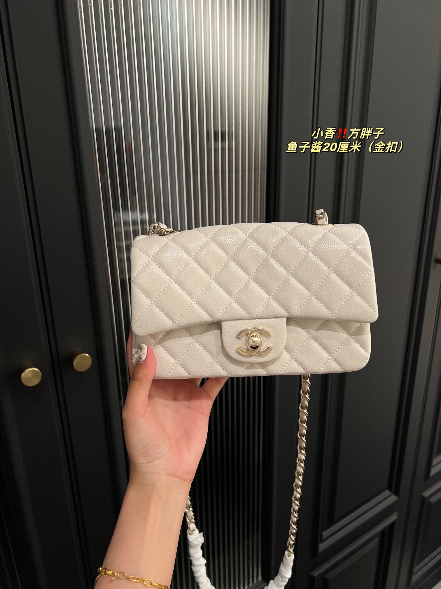Chanel Shoulder Bag 017 DB071 20cm