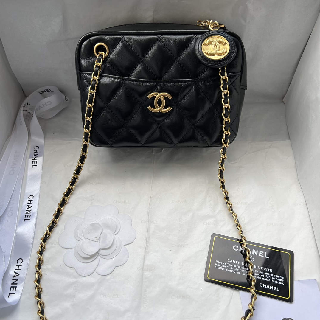 Chanel Camera Bag Cowhide