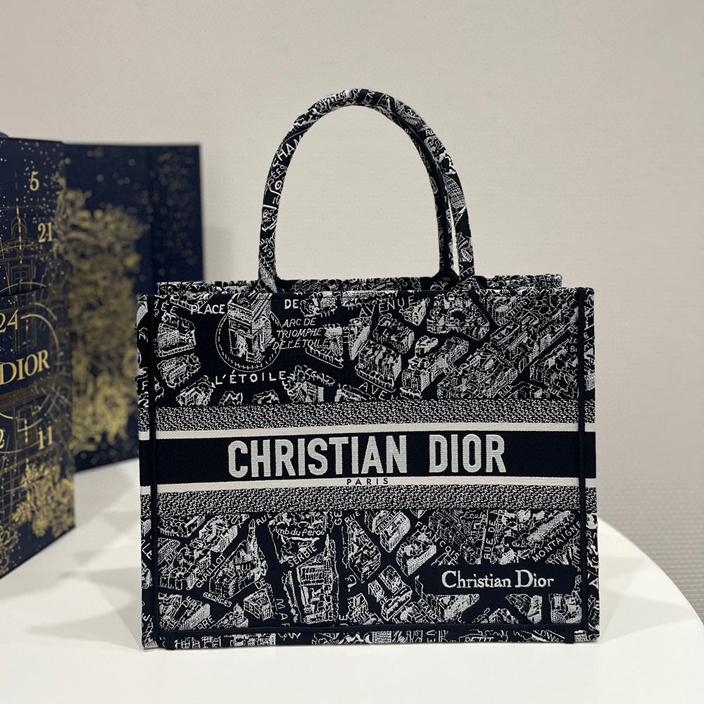 DIOR Book Tote Paris Map Bags(Replica)
