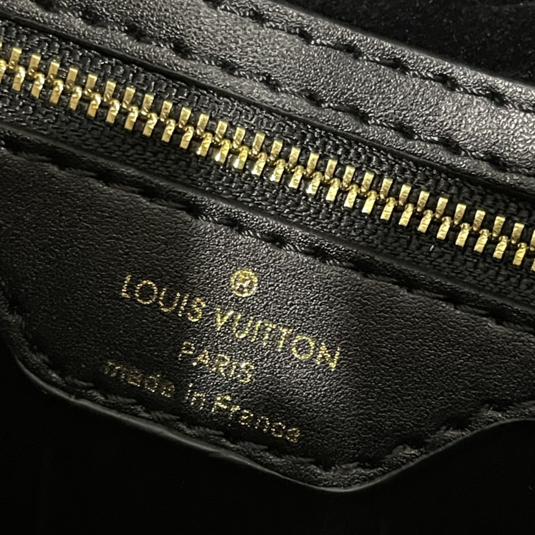 Louis Vuitton Twinny Bag 29cm LV M46659