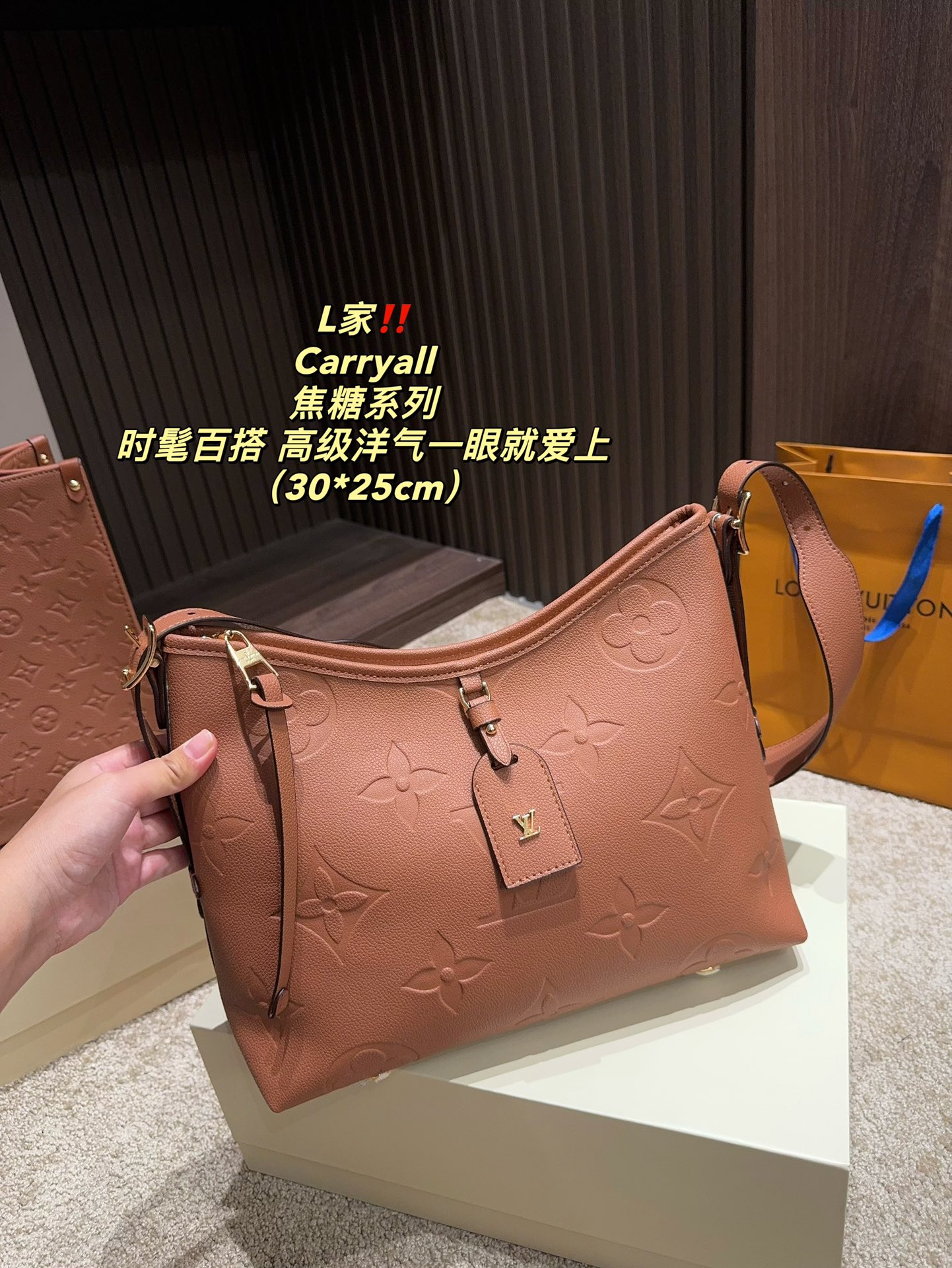 LV Carryall Bag 031 DB502 30cm