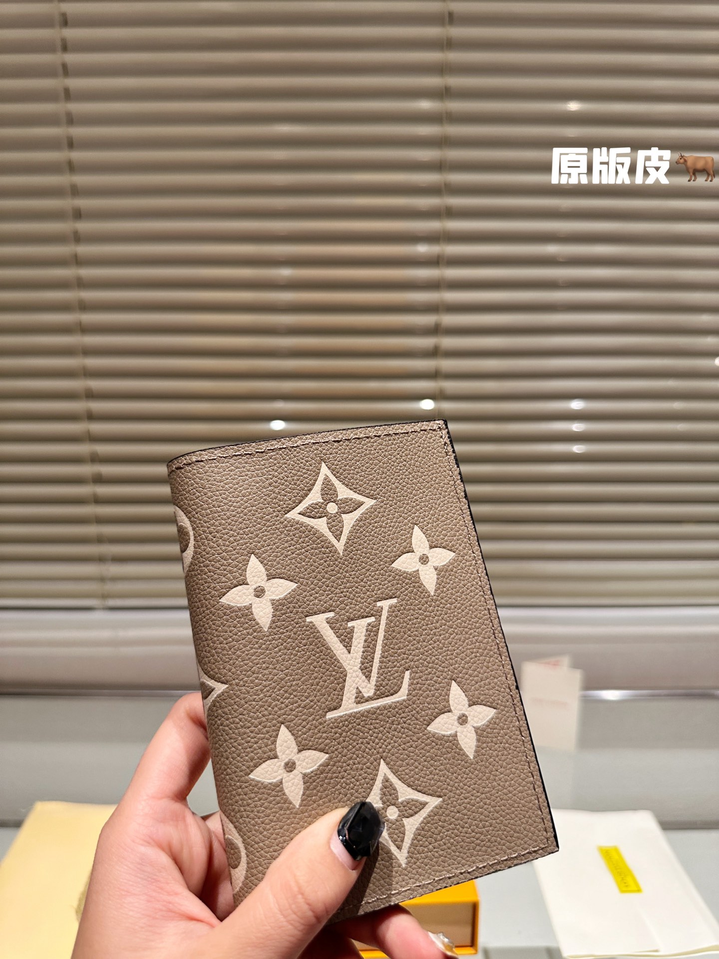 LV Passport holder 008 DB511 10cm
