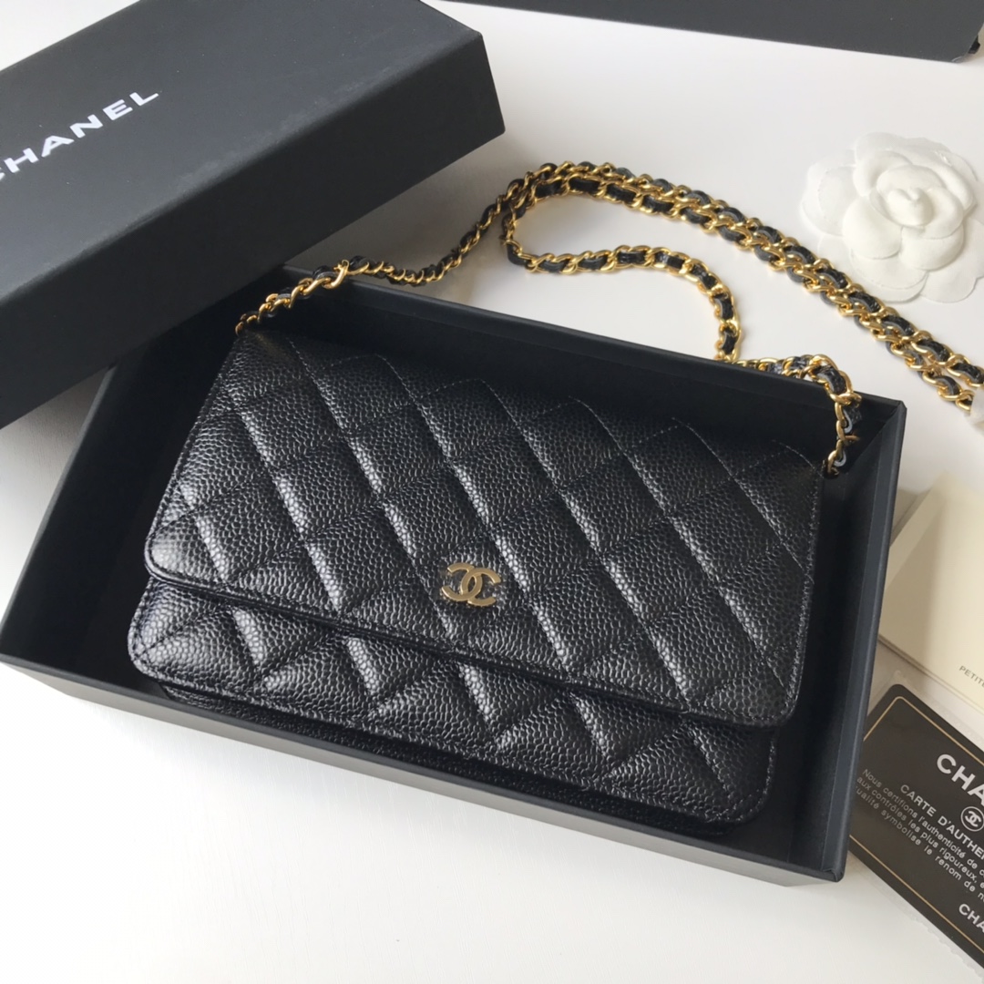 Top quality Chanel WOC 19cm 0250