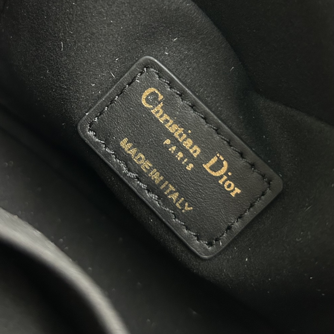 Dior Caro Camera Bags Shoulder Bag Handbag