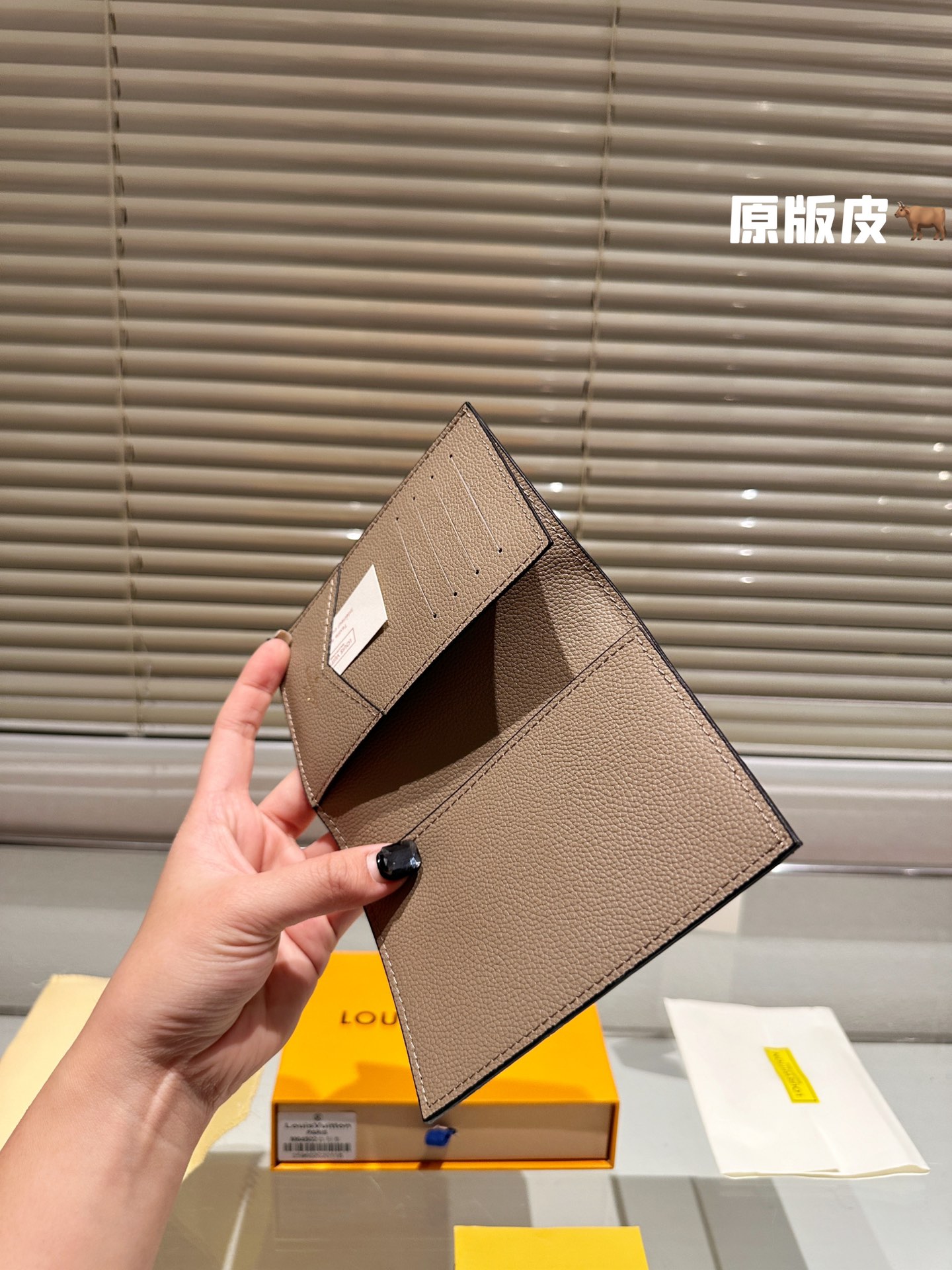 LV Passport holder 008 DB511 10cm