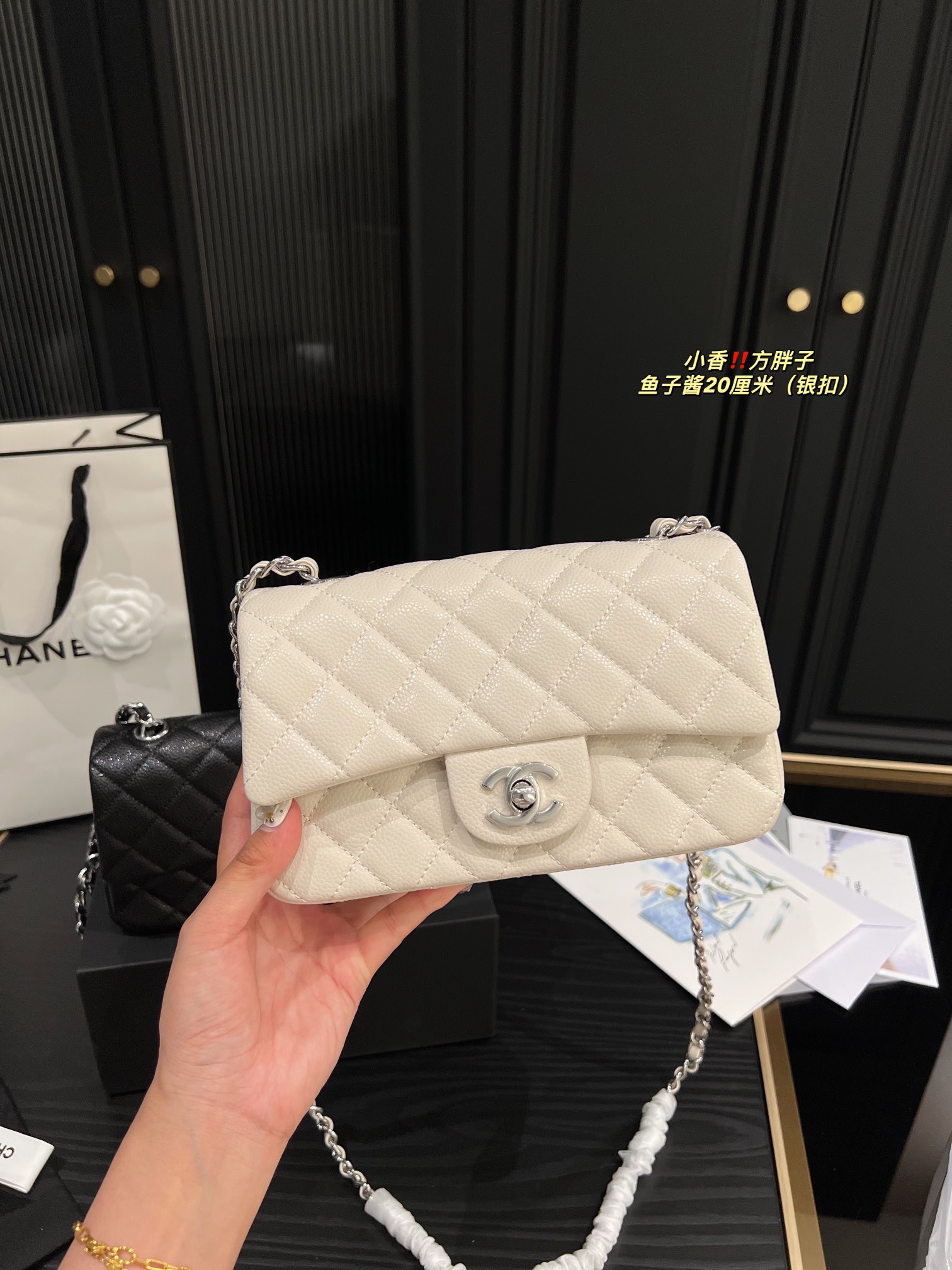 Chanel Shoulder Bag 017 DB071 20cm