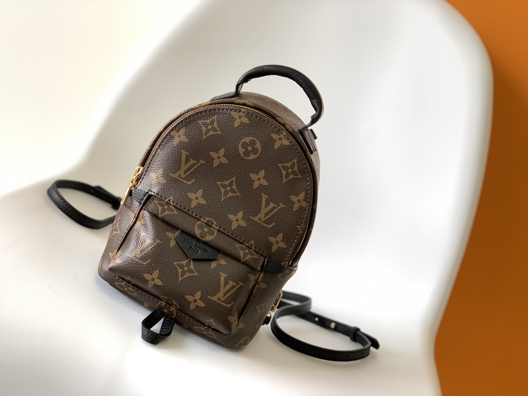 Louis Vuitton PALM SPRINGS MINI PM MM