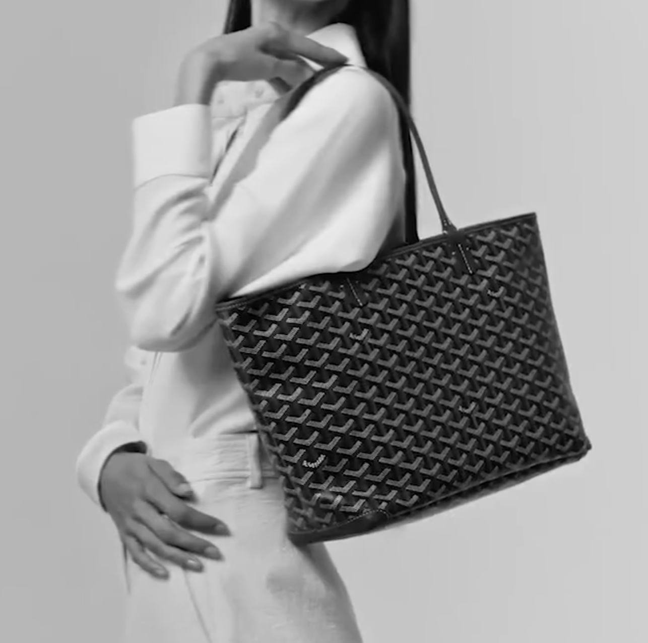 Goyard Tote Anjou PM Bag Totes Shoulder Bag Handbag(Replica)