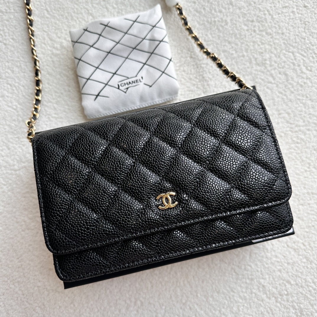 Chanel Chain Purse 33814 LM521 20cm