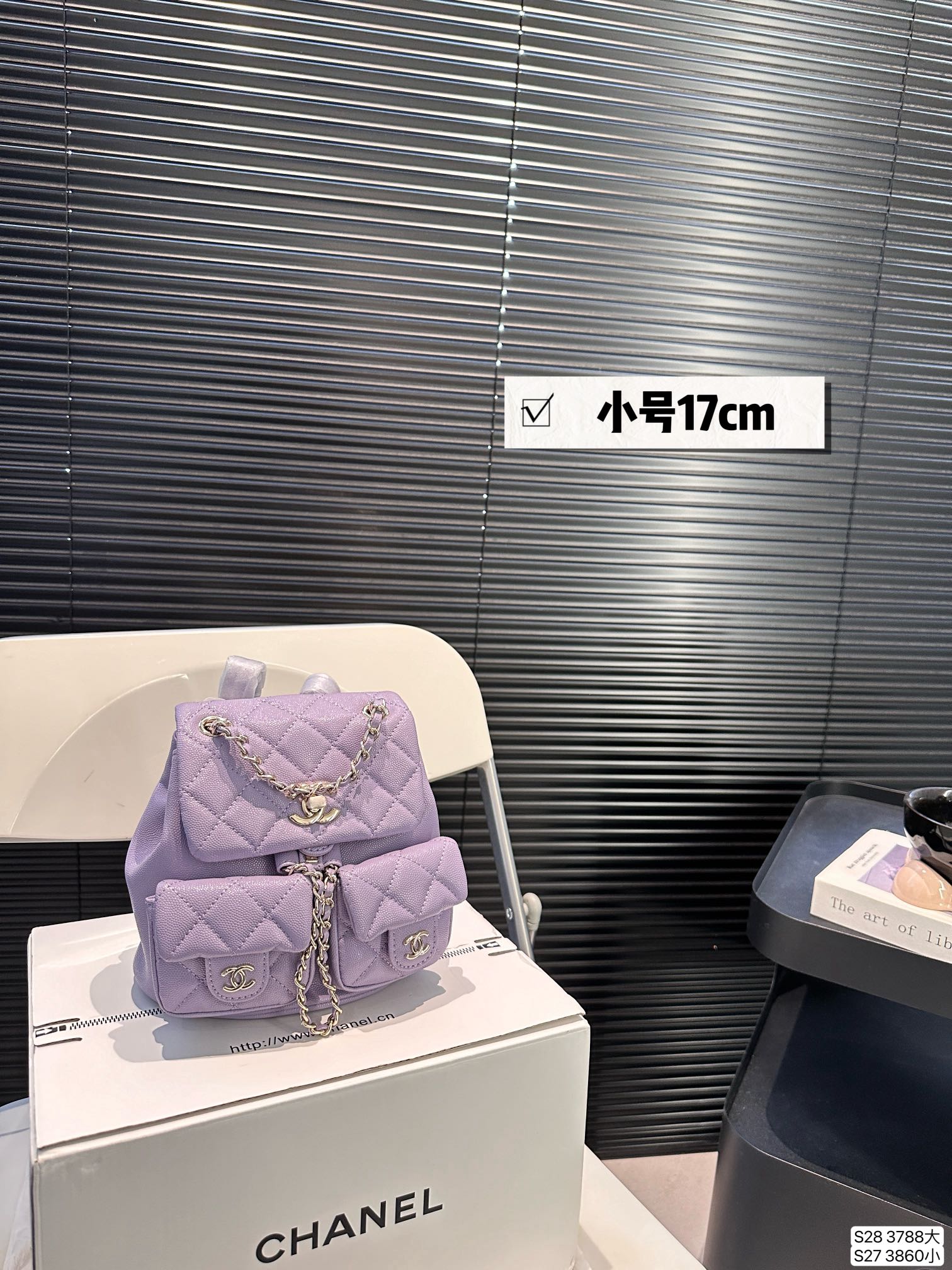 Chanel Backpack 3788 LLS002 17-20cm