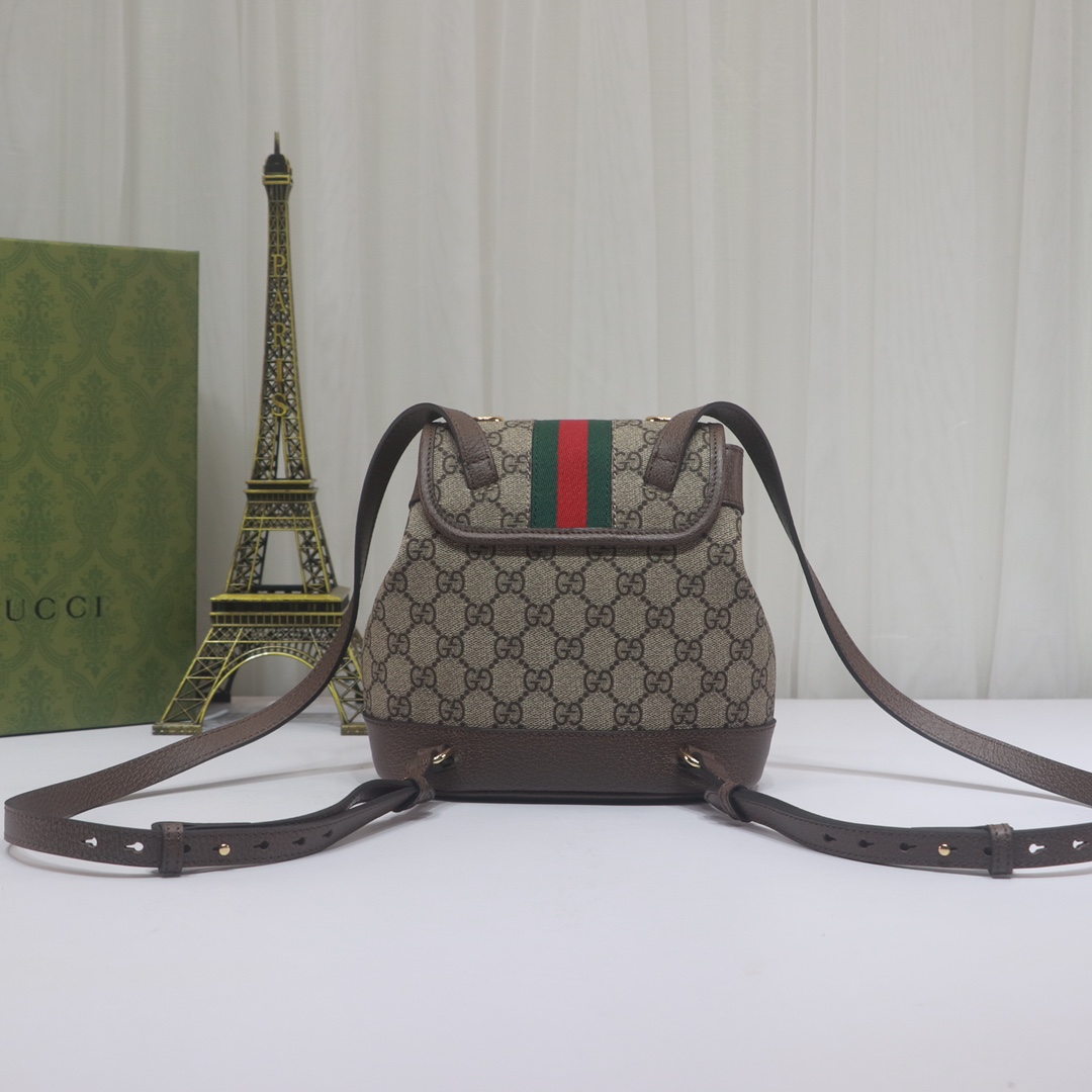 Gucci Ophidia Backpack 795221 LM031 20.5cm