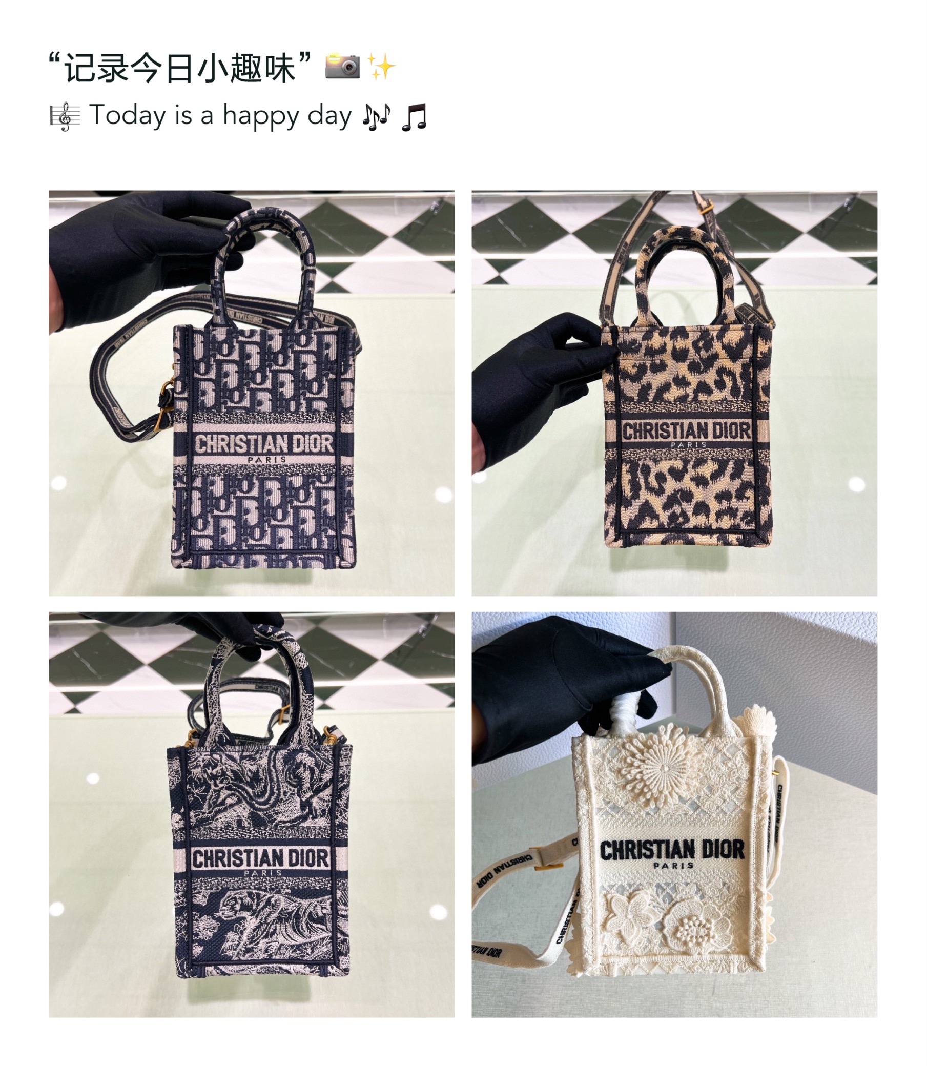 10A + top quality Dior Mini Vertical Book Tote S5555 DLAM091 13.5cm