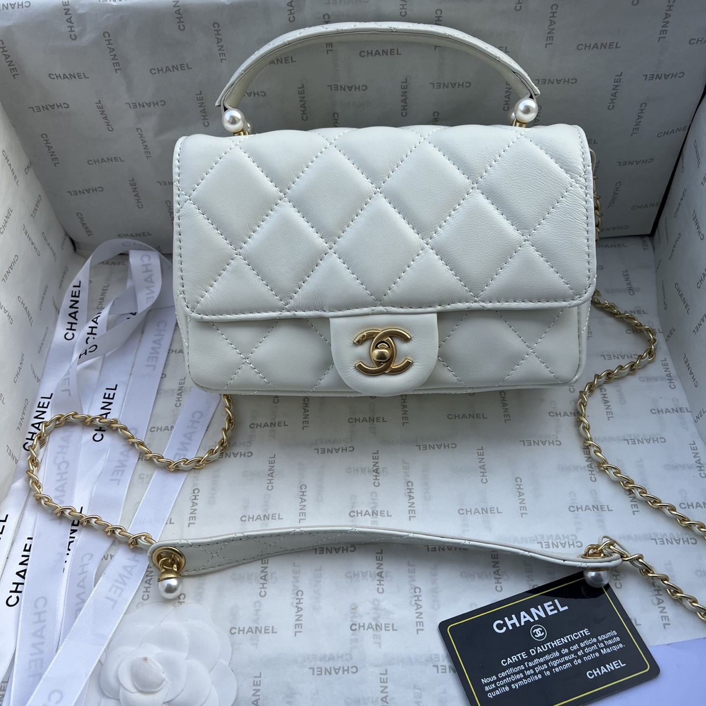 Chanel Camera bag 1225