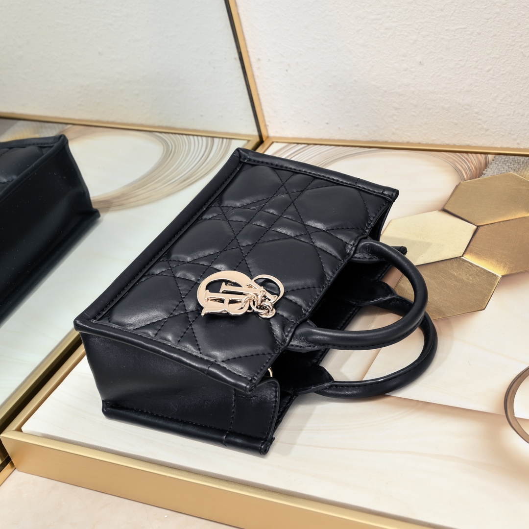 Dior Mini Book Tote Maria Grazia Chiuri design Shoulder Bag Handbag