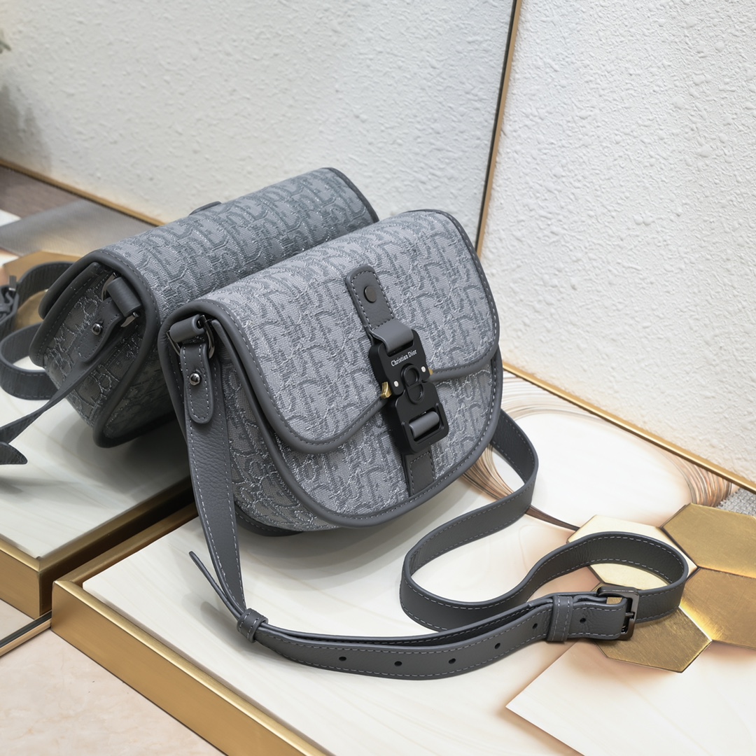 Mini Dior Tears Gallop Bag Gray print 1070 XB002 20.5cm