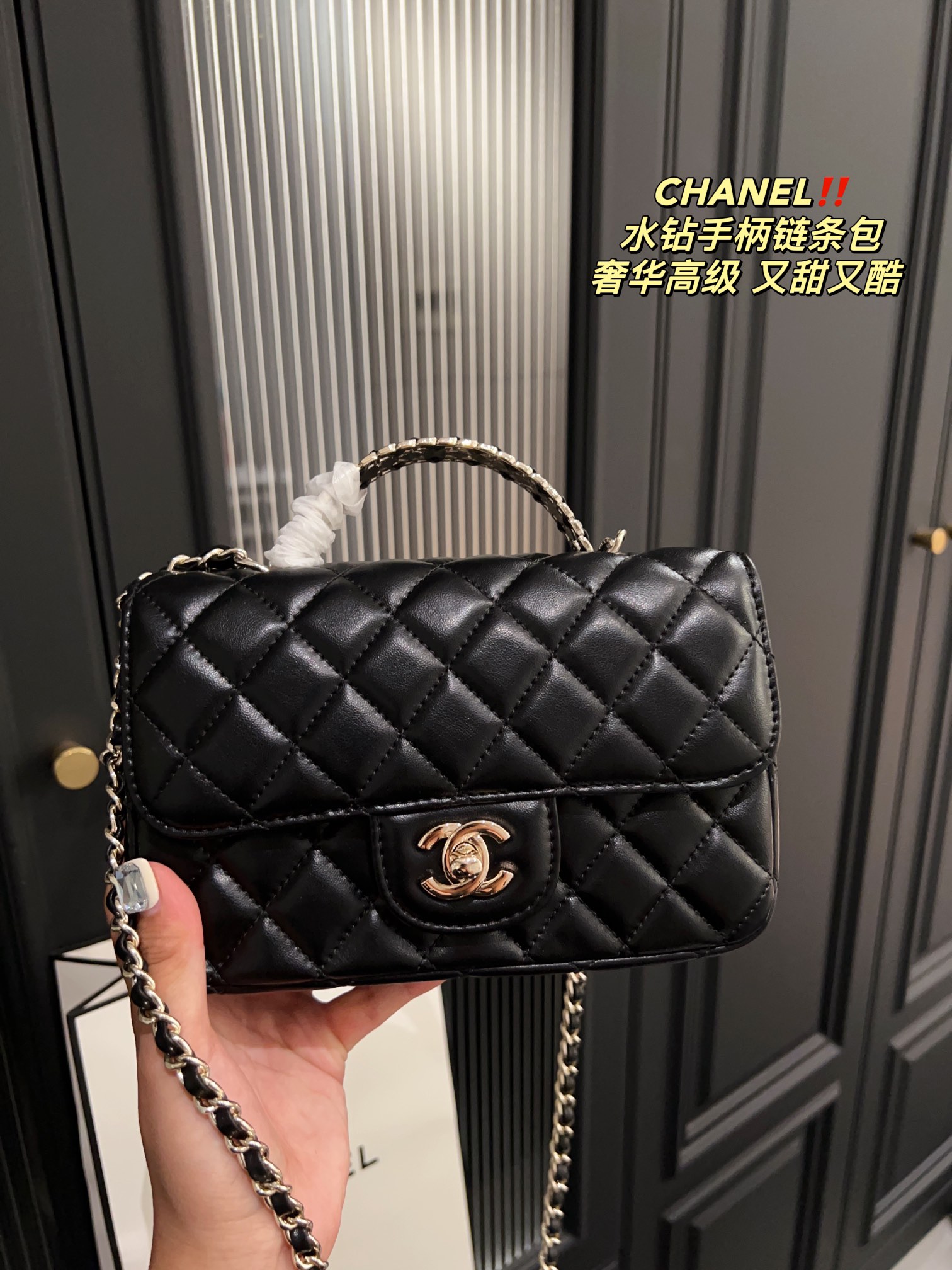 Chanel Handbag 009 DB061 19cm