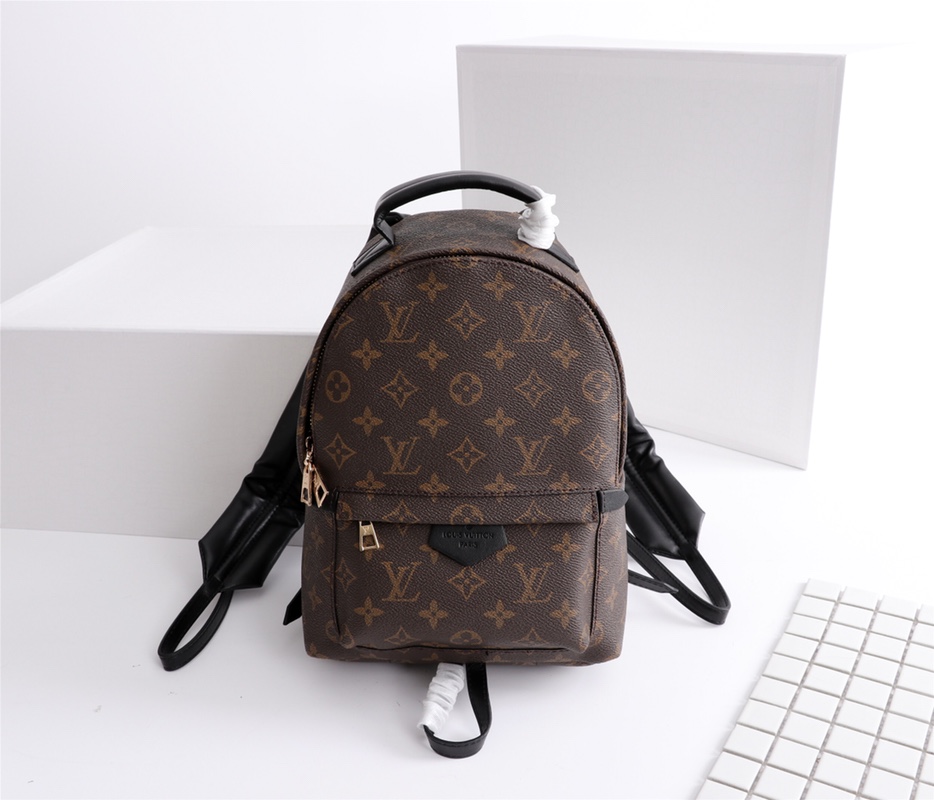 Louis Vuitton PALM SPRINGS MINI PM MM