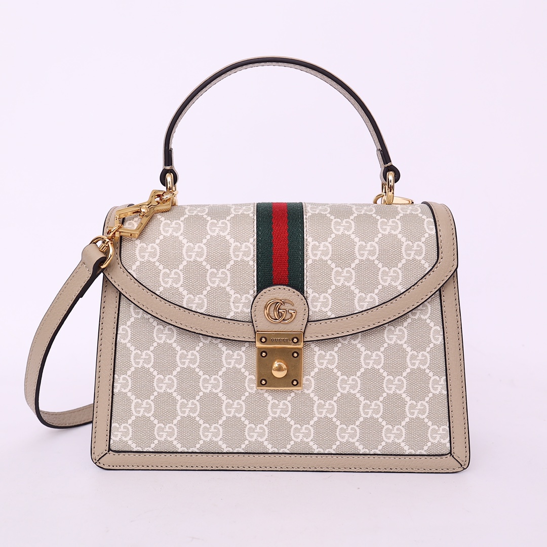 GUCCI 651055 25x17.5x7 cm