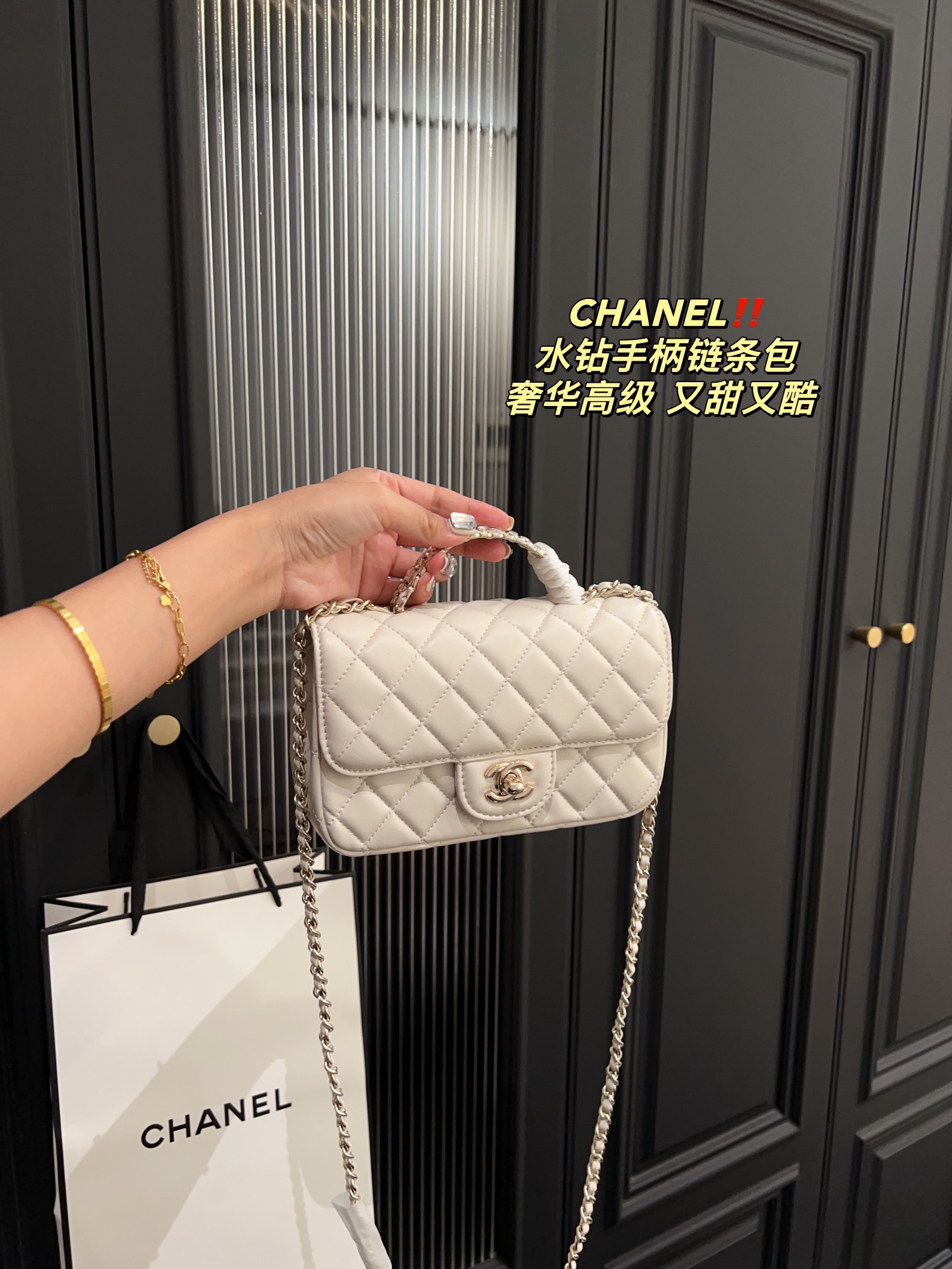 Chanel Handbag 009 DB061 19cm