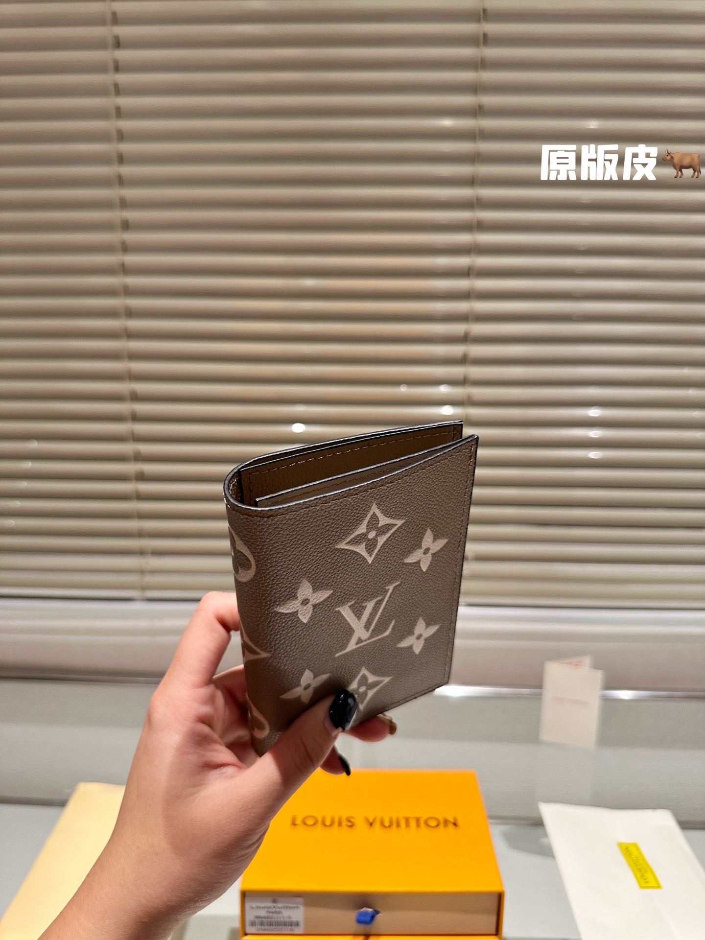 LV Passport holder 008 DB511 10cm