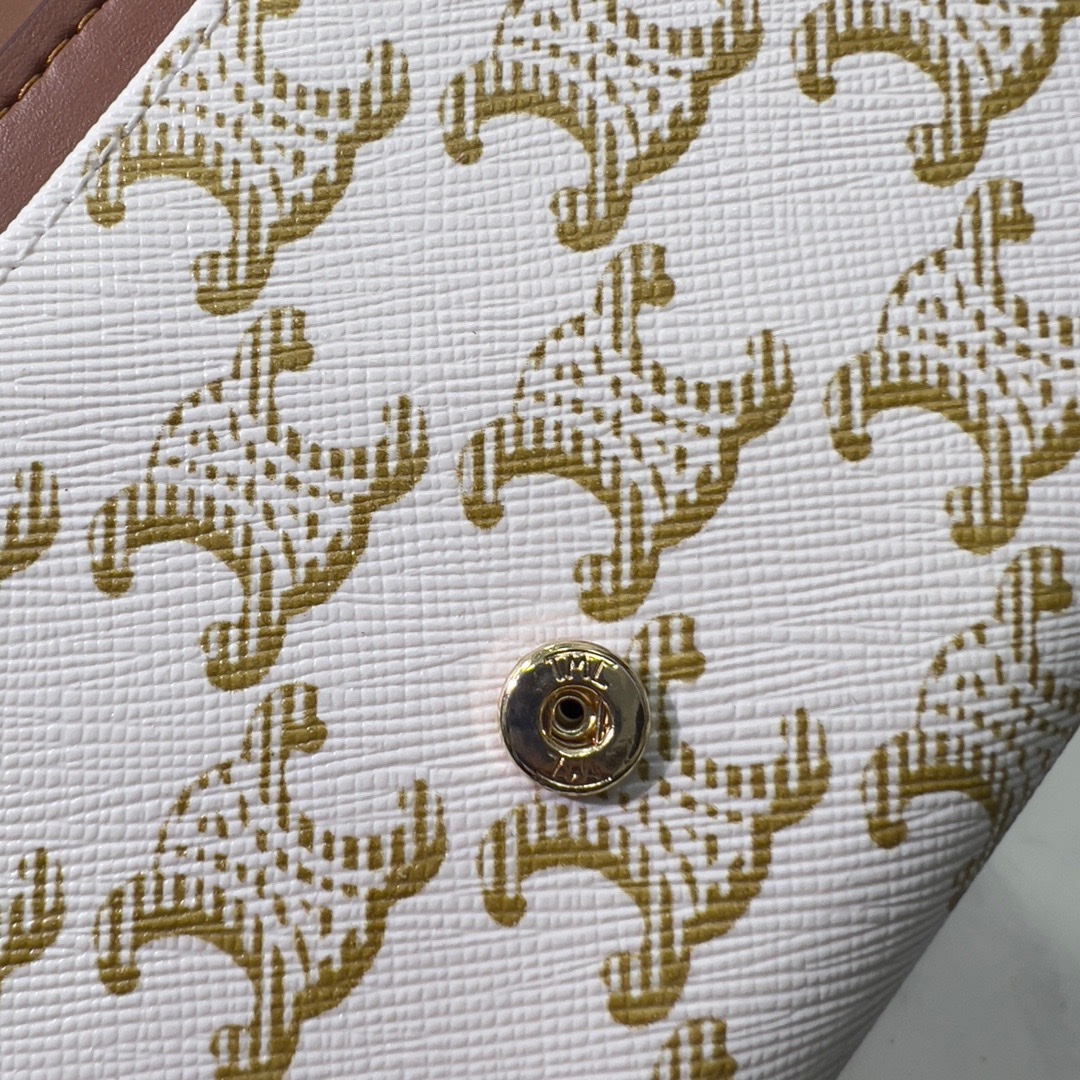 Celine CLAUDE Chain Bag 1961 LM59 19cm