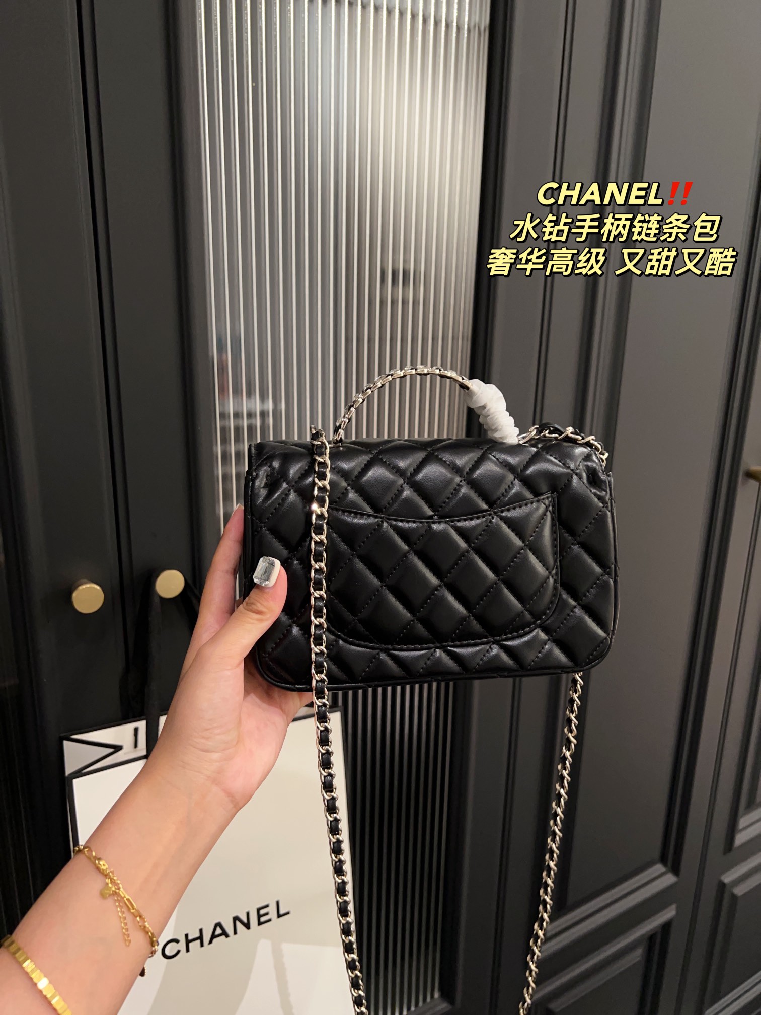 Chanel Handbag 009 DB061 19cm