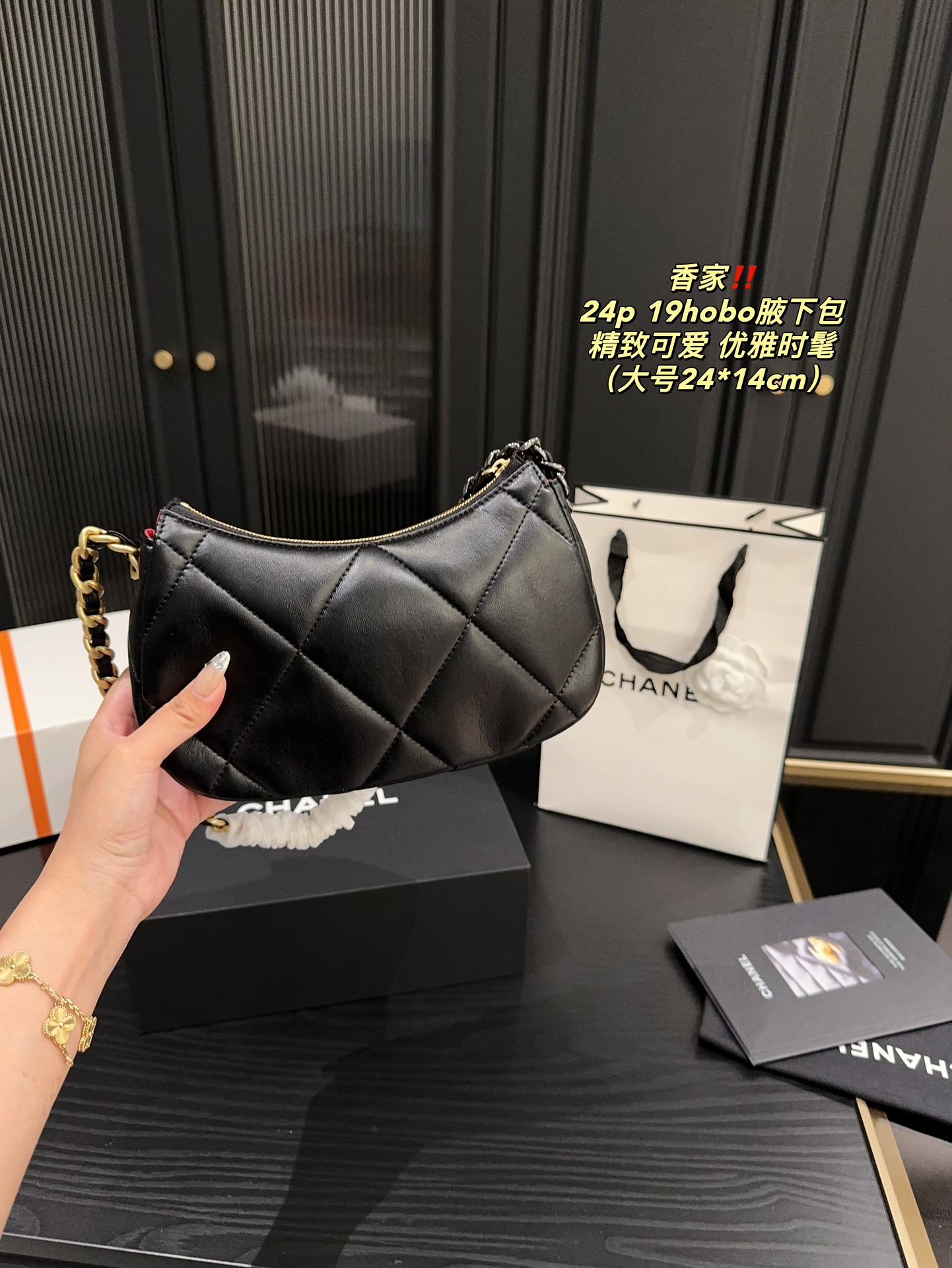 Chanel 24p 19hobo Bag 018 DB571 20-24cm