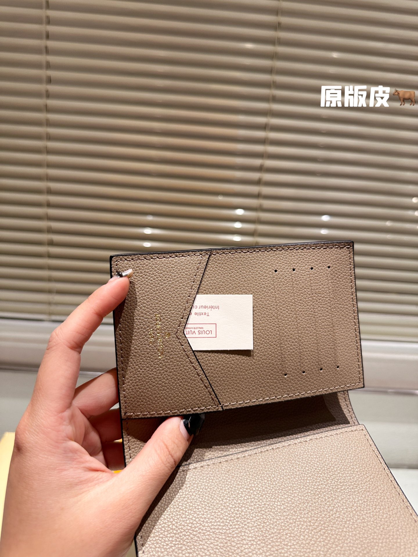 LV Passport holder 008 DB511 10cm