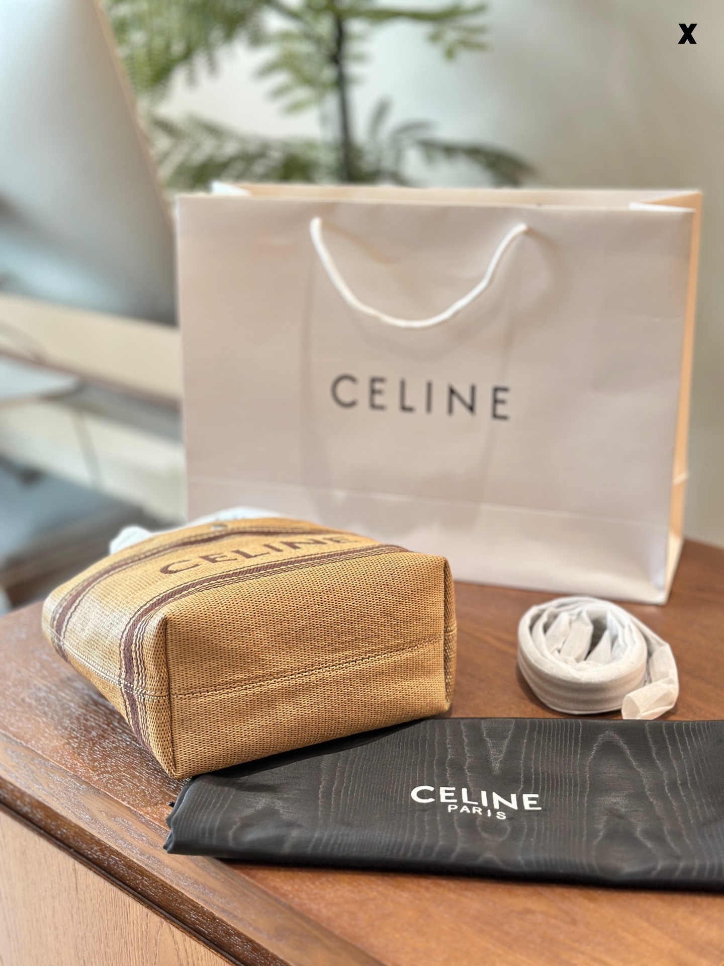 Celine Mini Tote 002 LM081 22cm