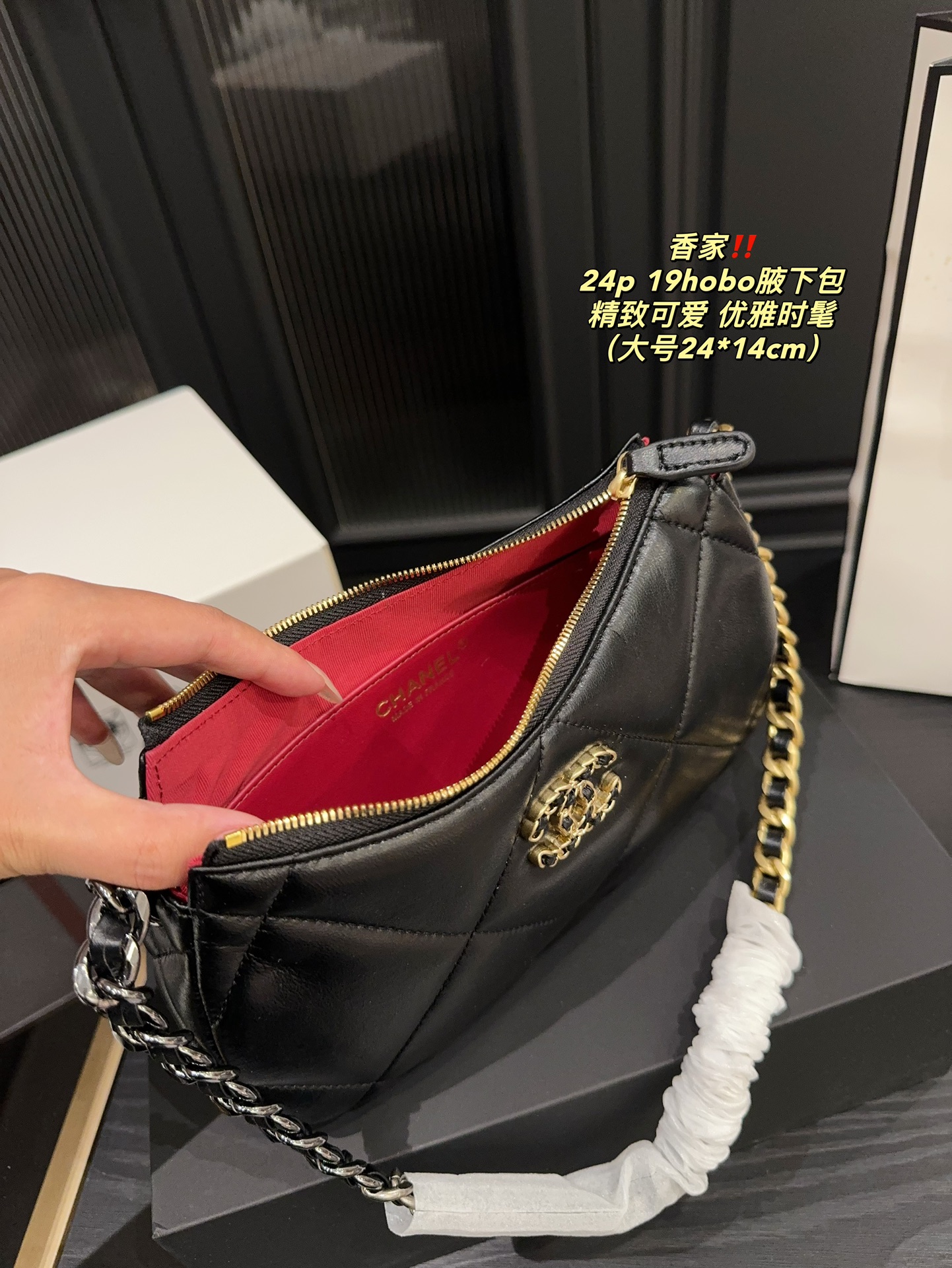 Chanel 24p 19hobo Bag 018 DB571 20-24cm