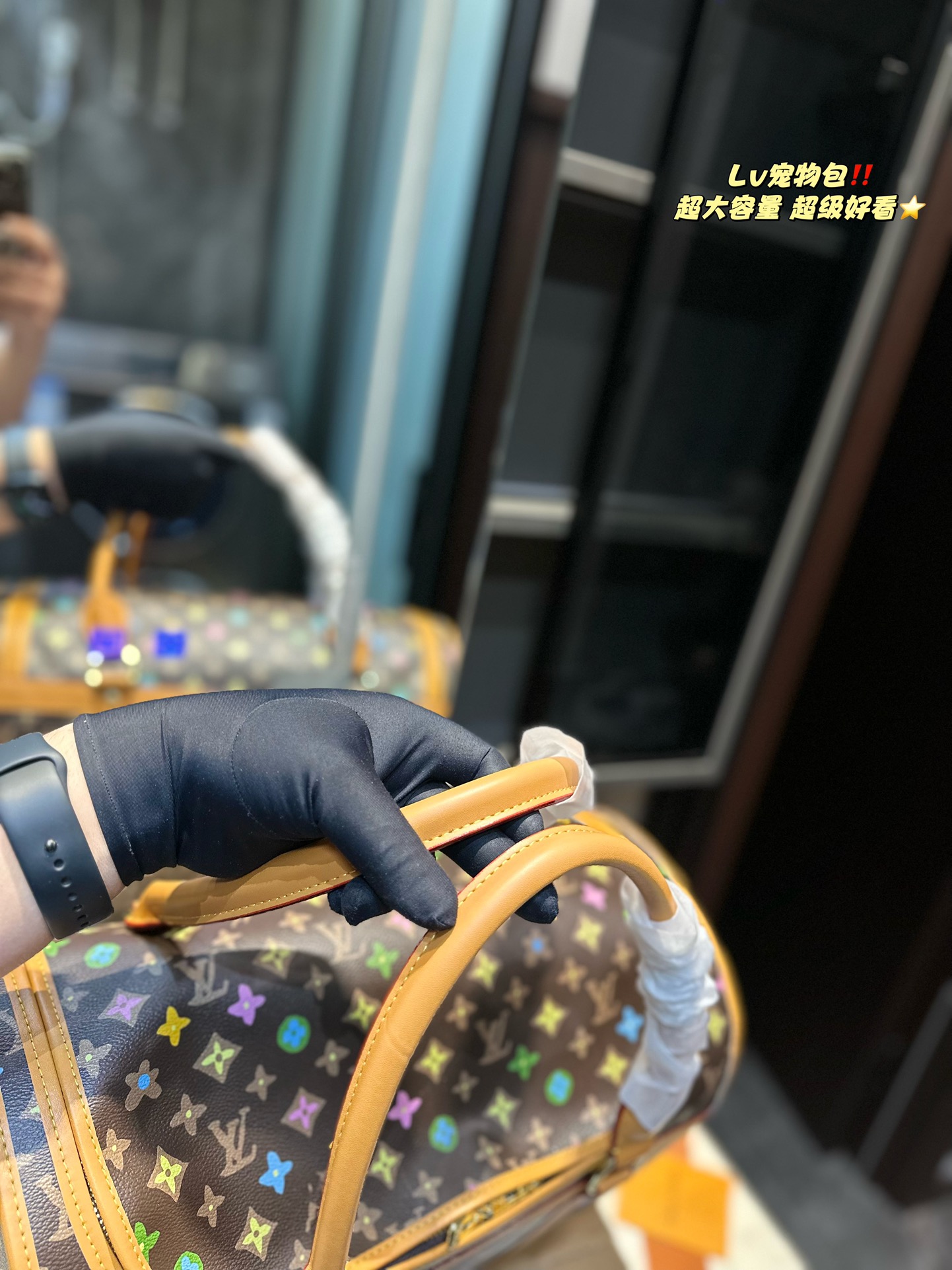 LV Dog Bag 024 DB091 39cm