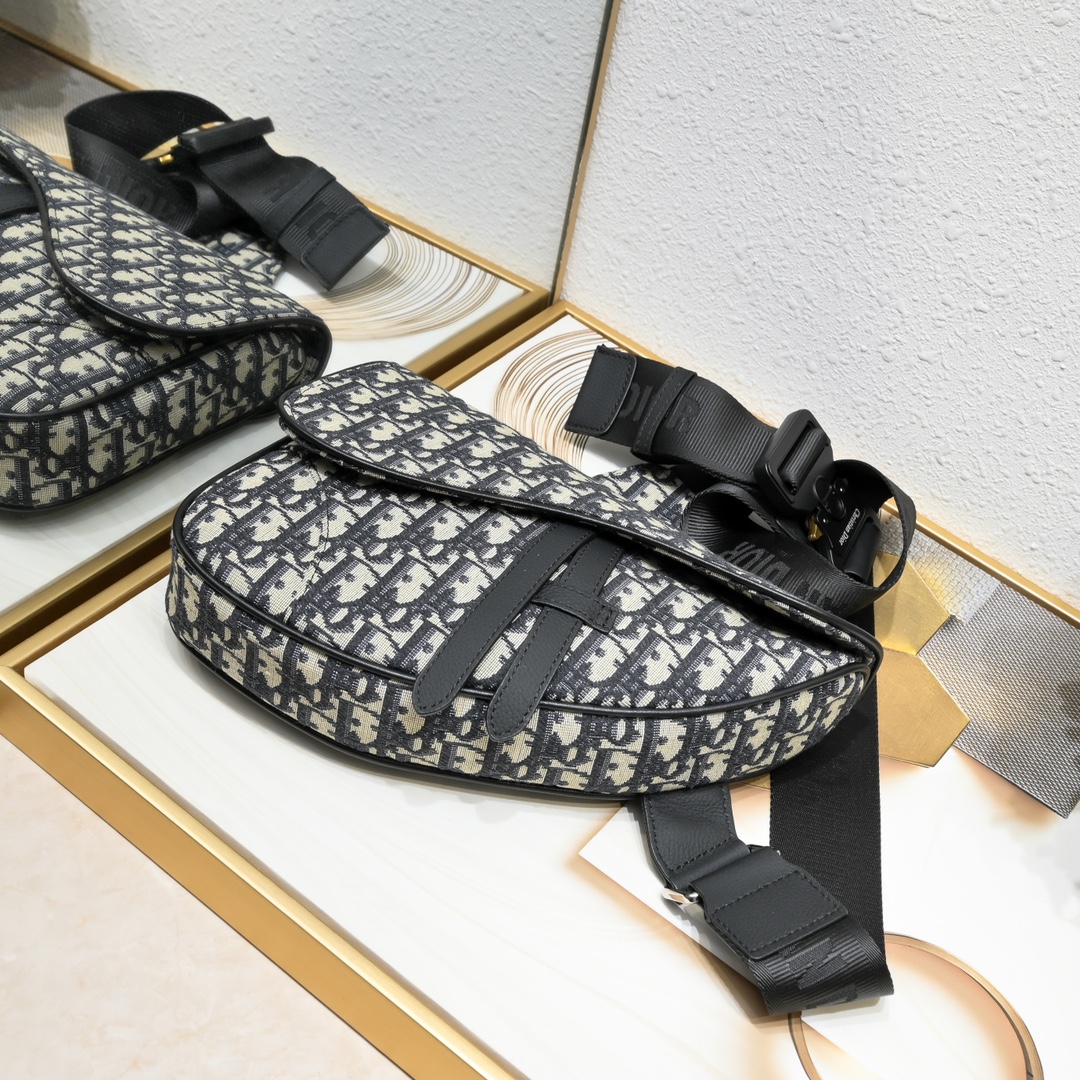 Dior Homme Pre-Fall Saddle Ophidia Shoulder Bag Handbag