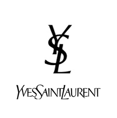 ALL YSL BAG