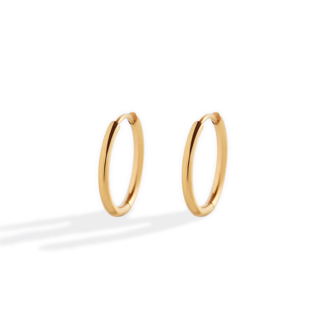 Small Hoop Earrings
