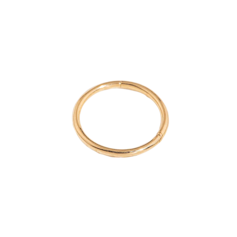 Classic Cartilage Hoop Earrings | 16g