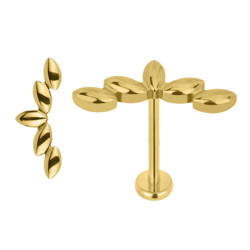 Cute Labret Studs | 16g