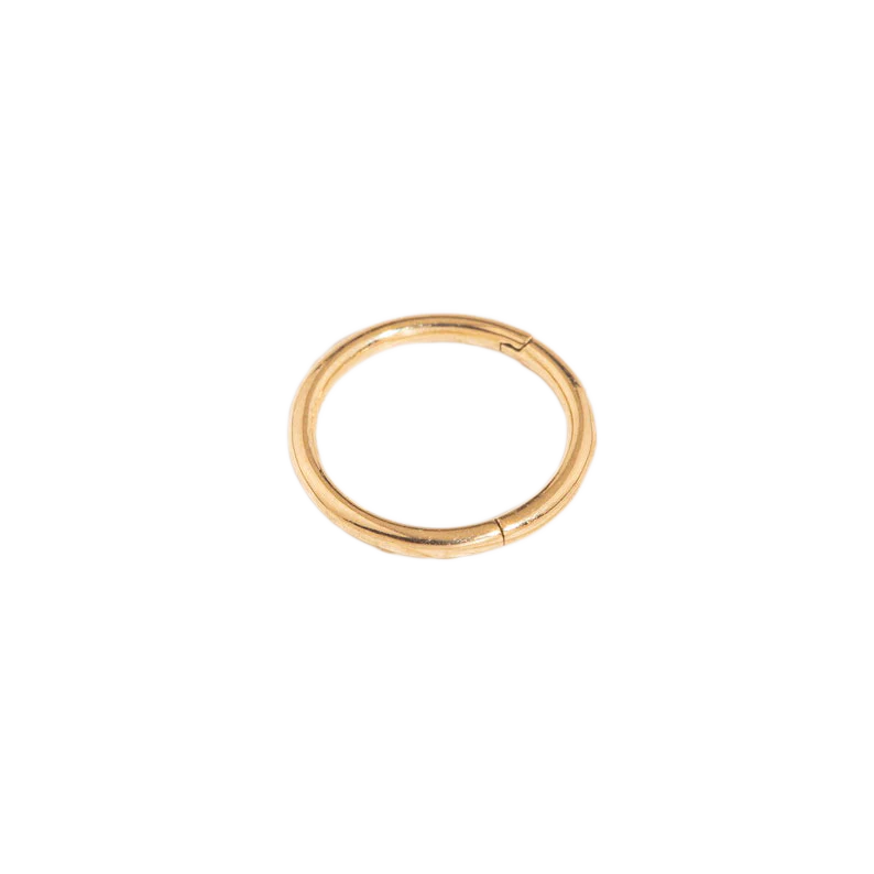 Classic Cartilage Hoop Earrings | 16g