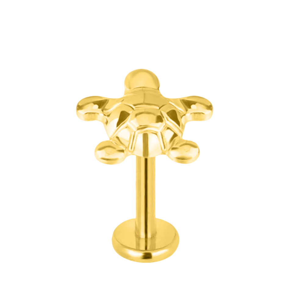 Cute Labret Studs | 16g