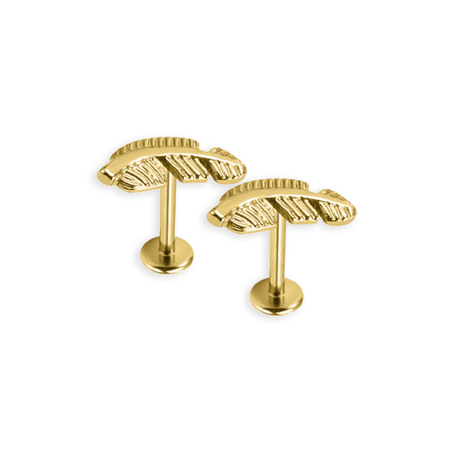 Cute Labret Studs | 16g