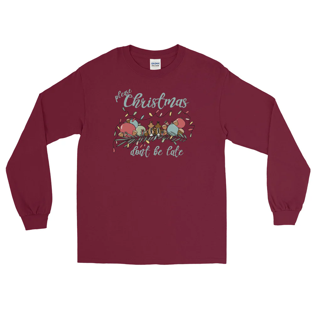 Chip and Dale Christmas Long Sleeve Shirt Please Christmas Don't Be Late Chipmunk Song Long Sleeve Shirt