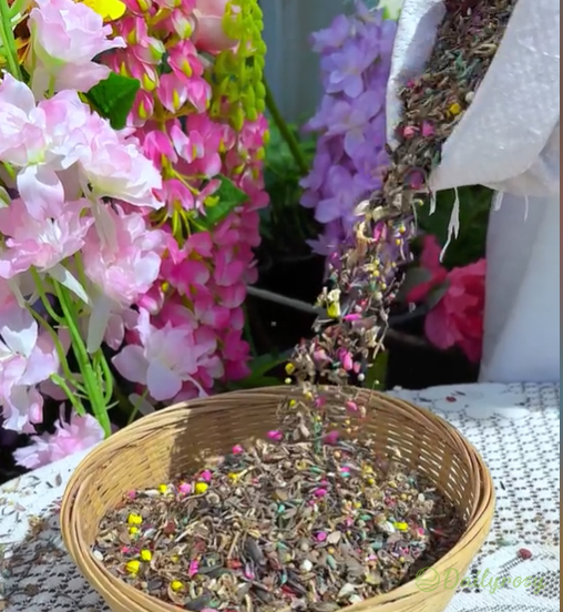 Mixed Perennial Flowers Seeds-Over 60 kinds mixed-Easy care